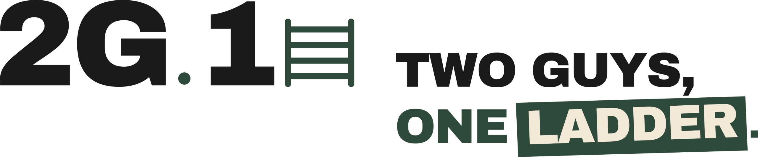 Two Guys, One Ladder